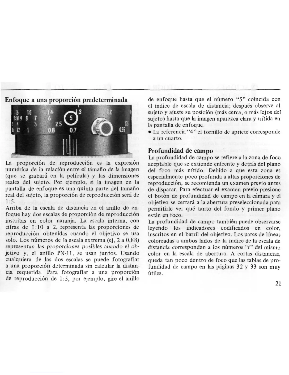 Page #21 background image