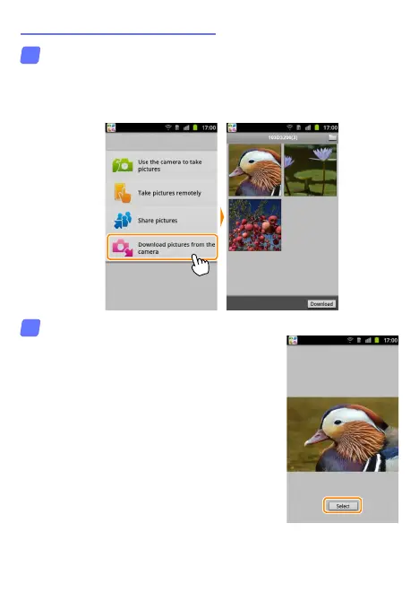 Page #5 background image