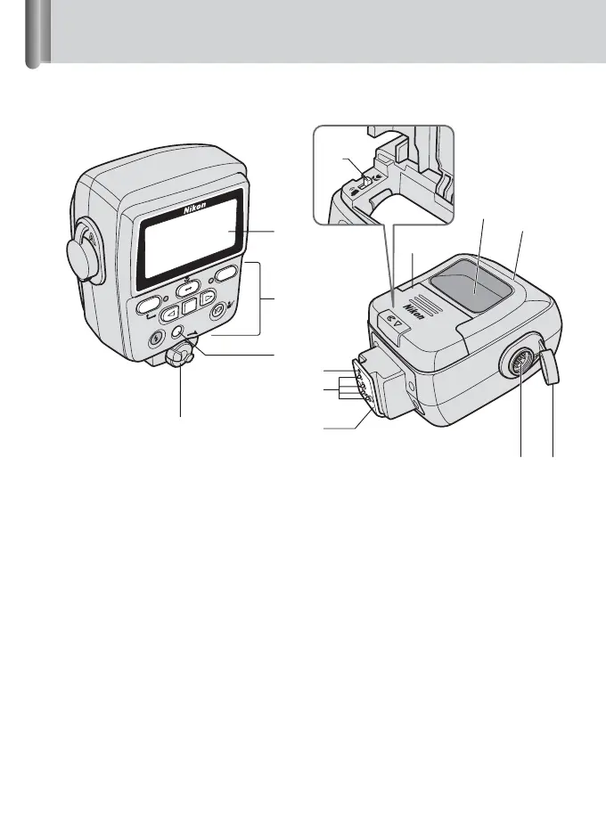 Page #18 background image