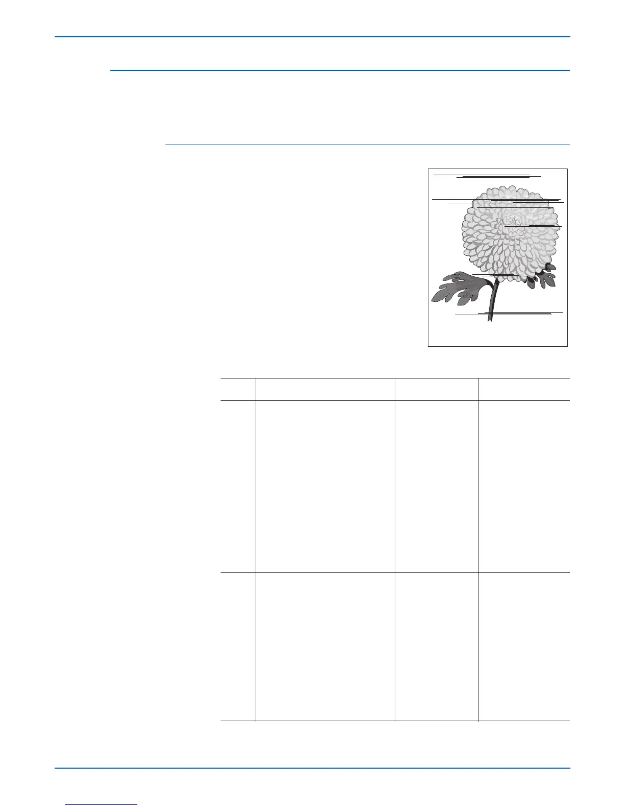 Page #243 background image