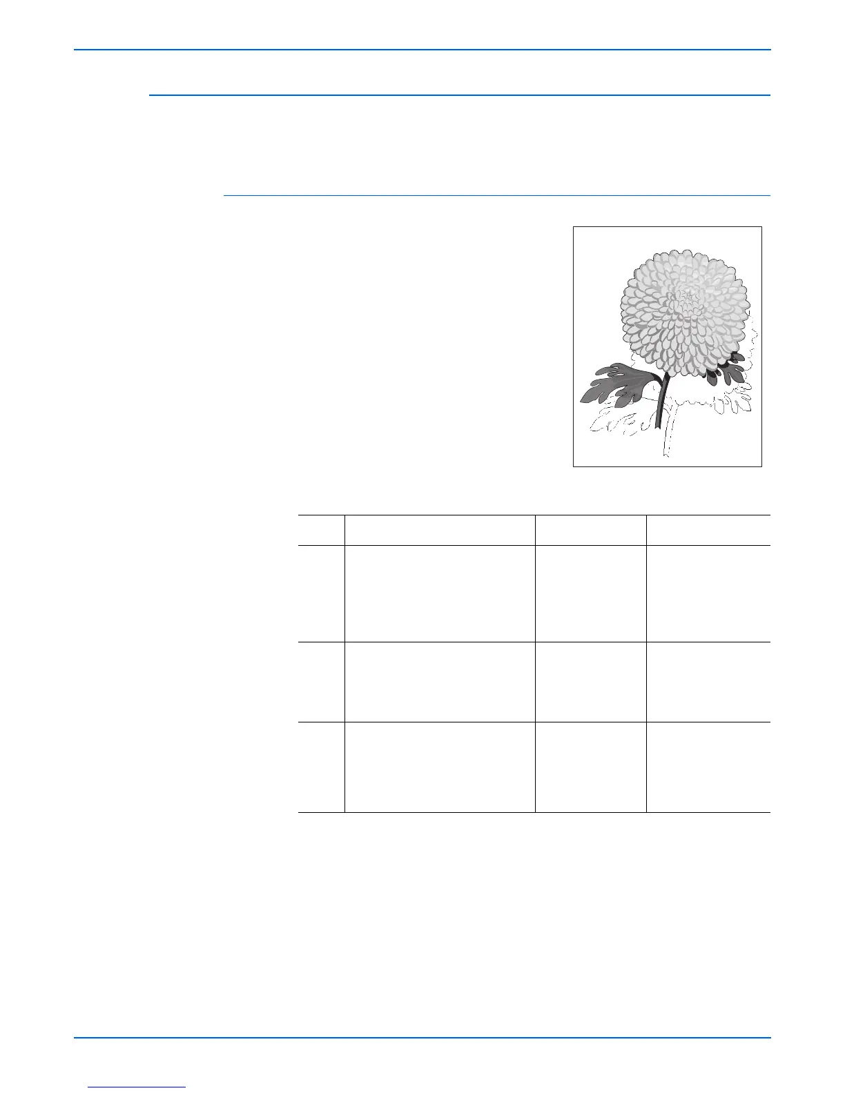 Page #255 background image