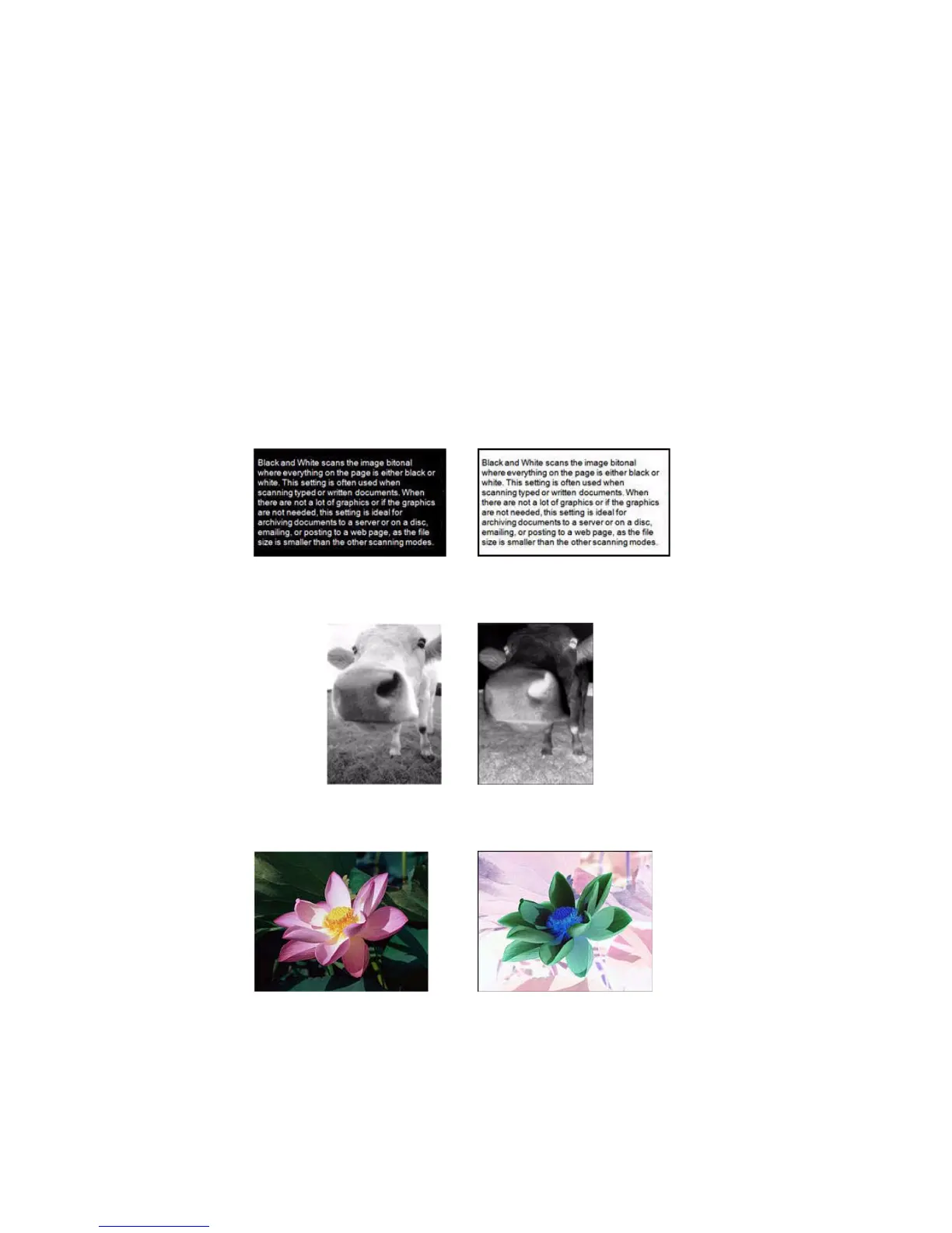 Page #60 background image