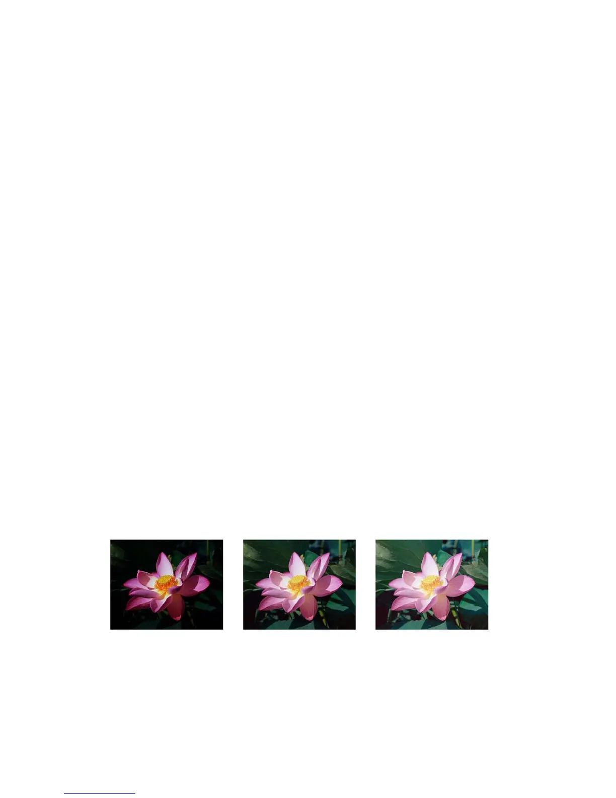 Page #176 background image