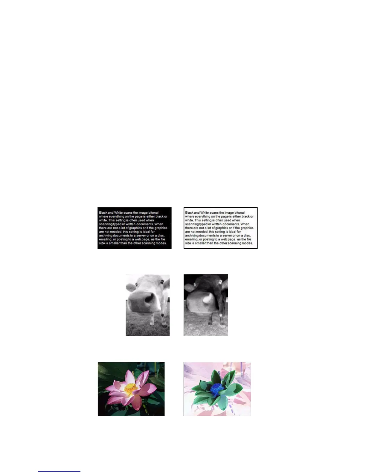 Page #177 background image
