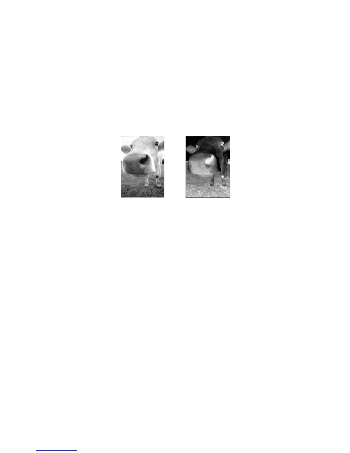 Page #66 background image