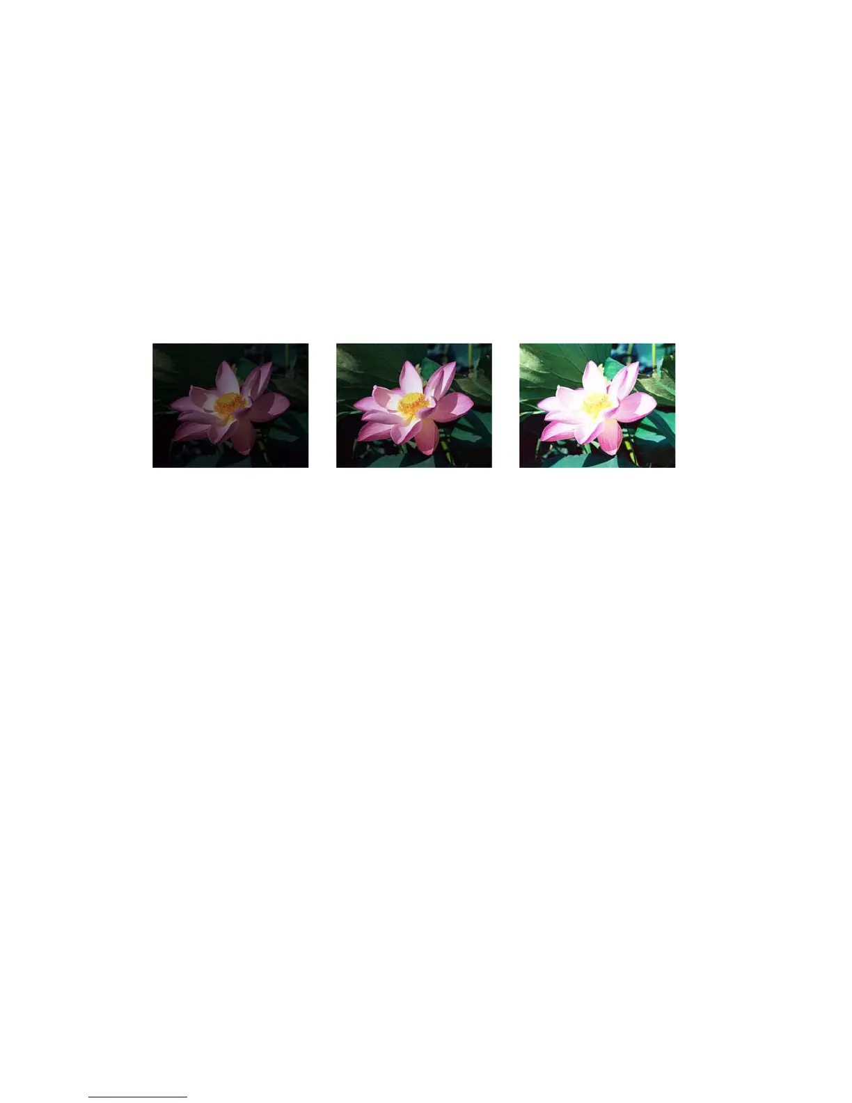 Page #175 background image