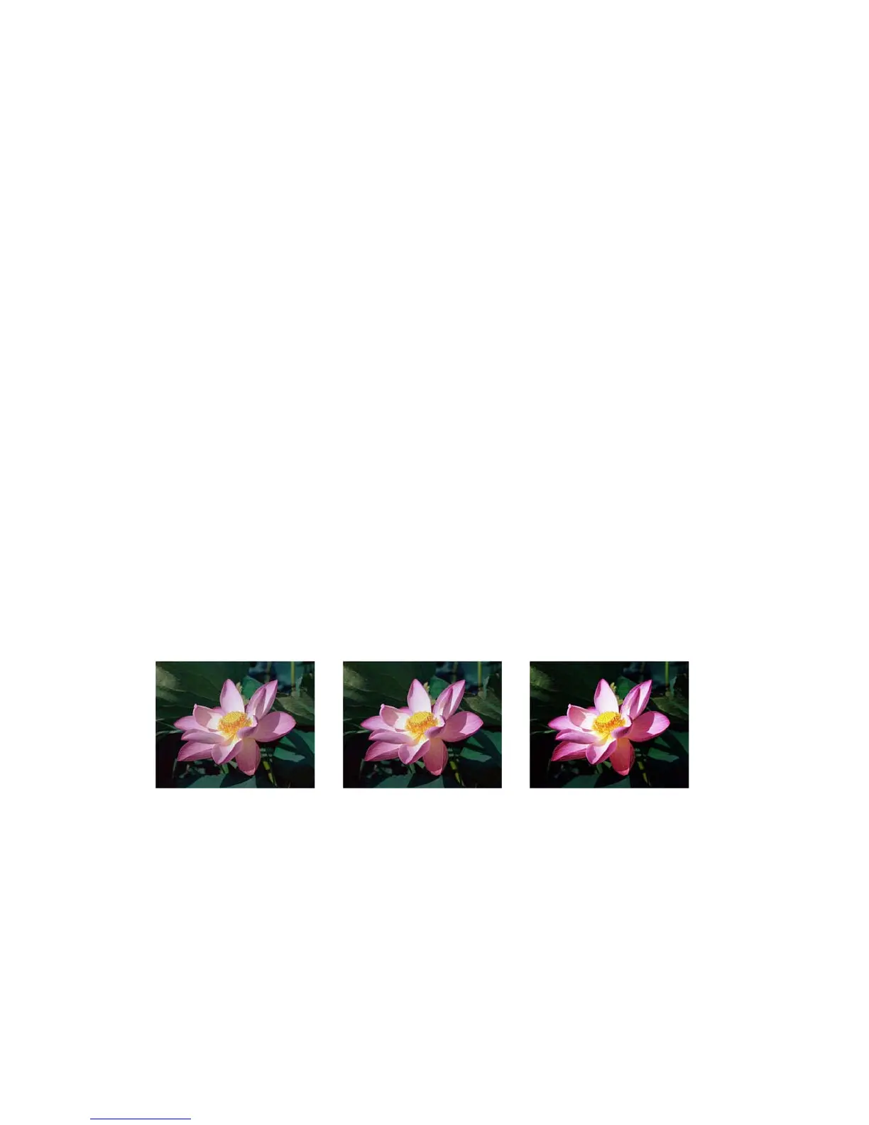 Page #176 background image