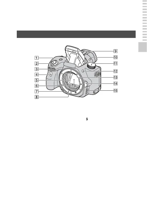 Page #13 background image