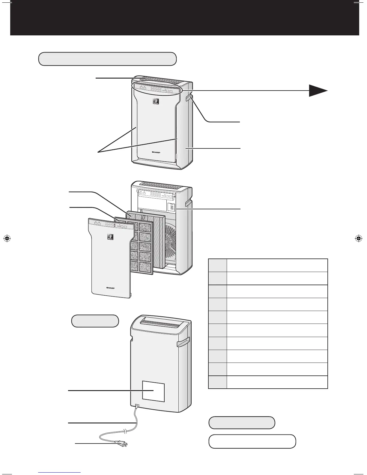 Page #8 background image