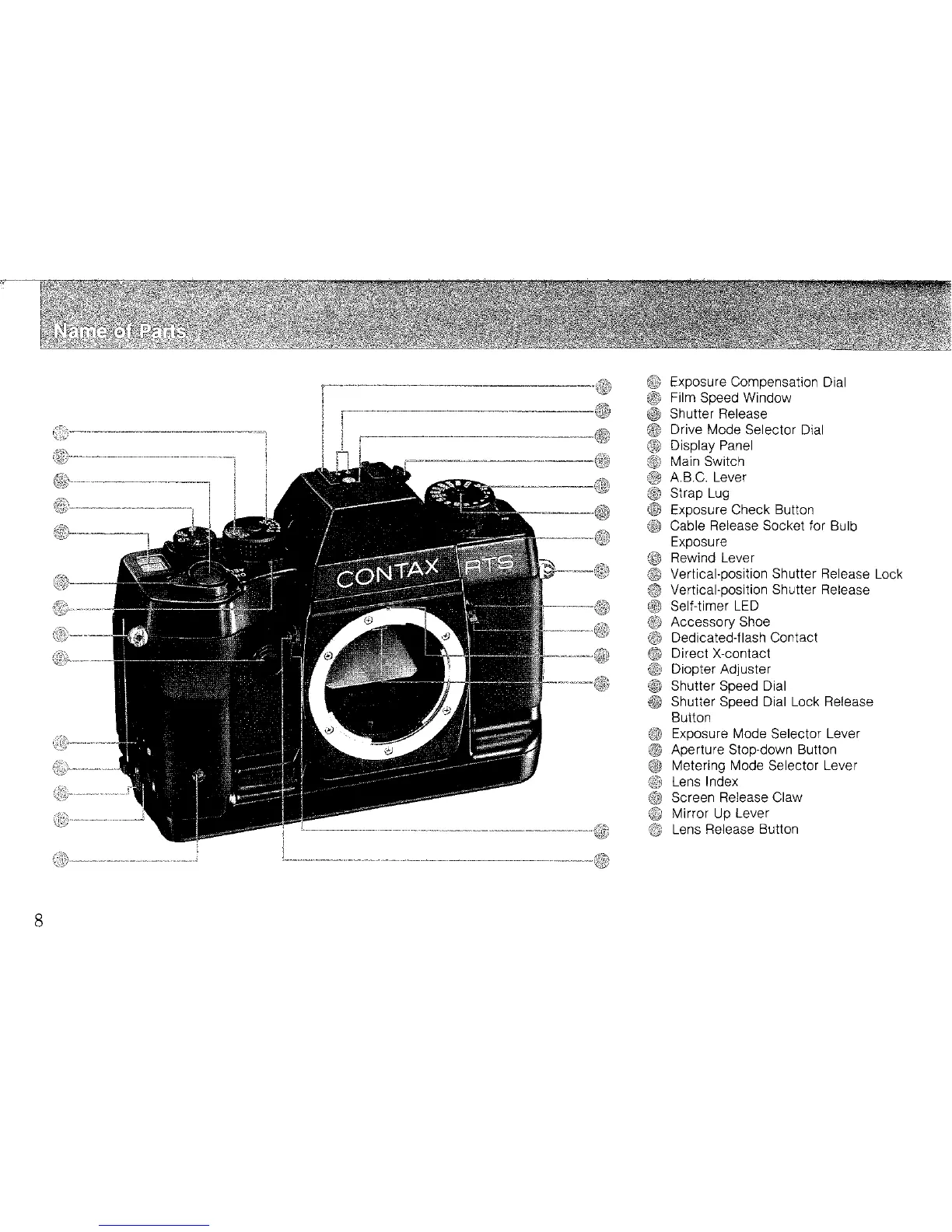 Page #4 background image
