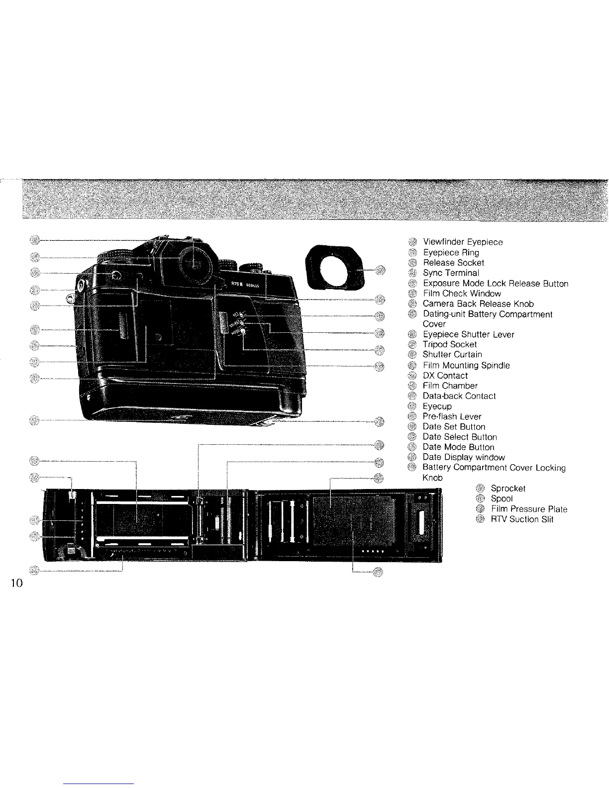 Page #5 background image