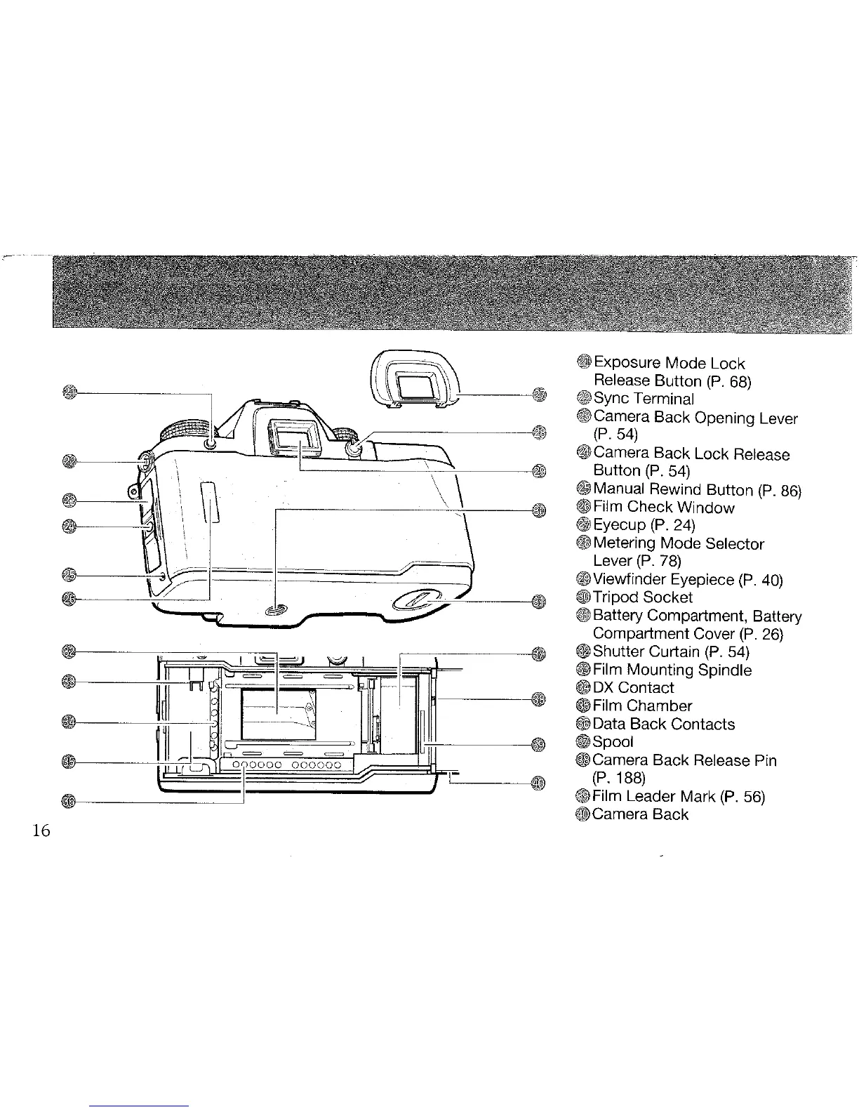 Page #6 background image