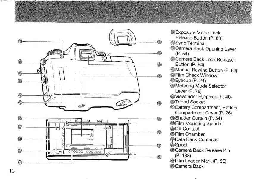 Page #6 background image