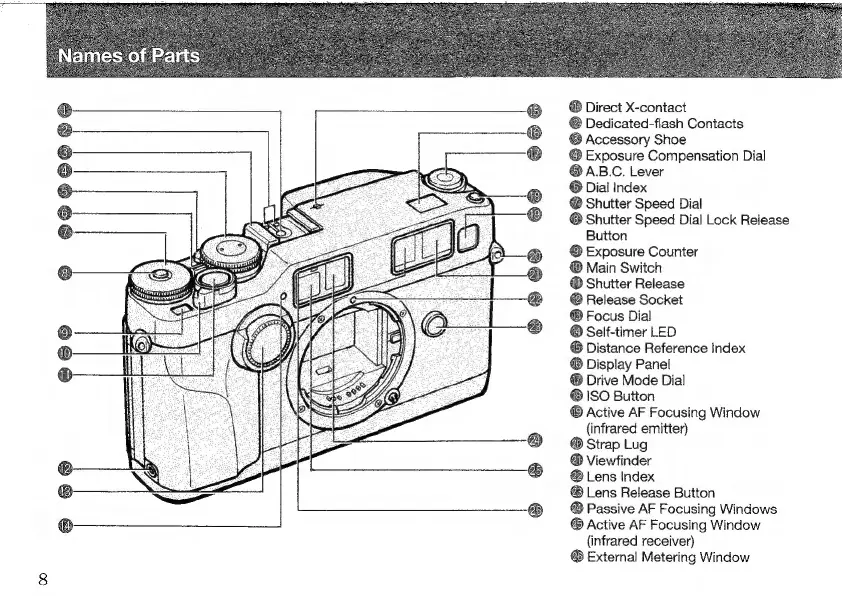 Page #4 background image