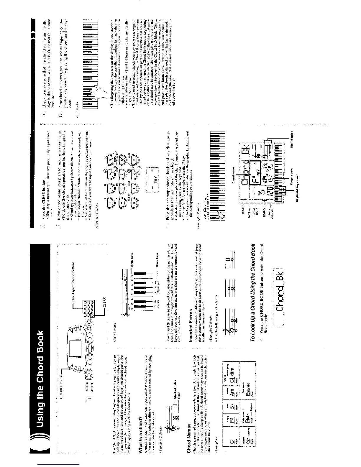Page #6 background image
