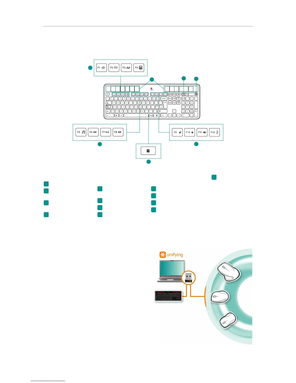 Page #5 background image
