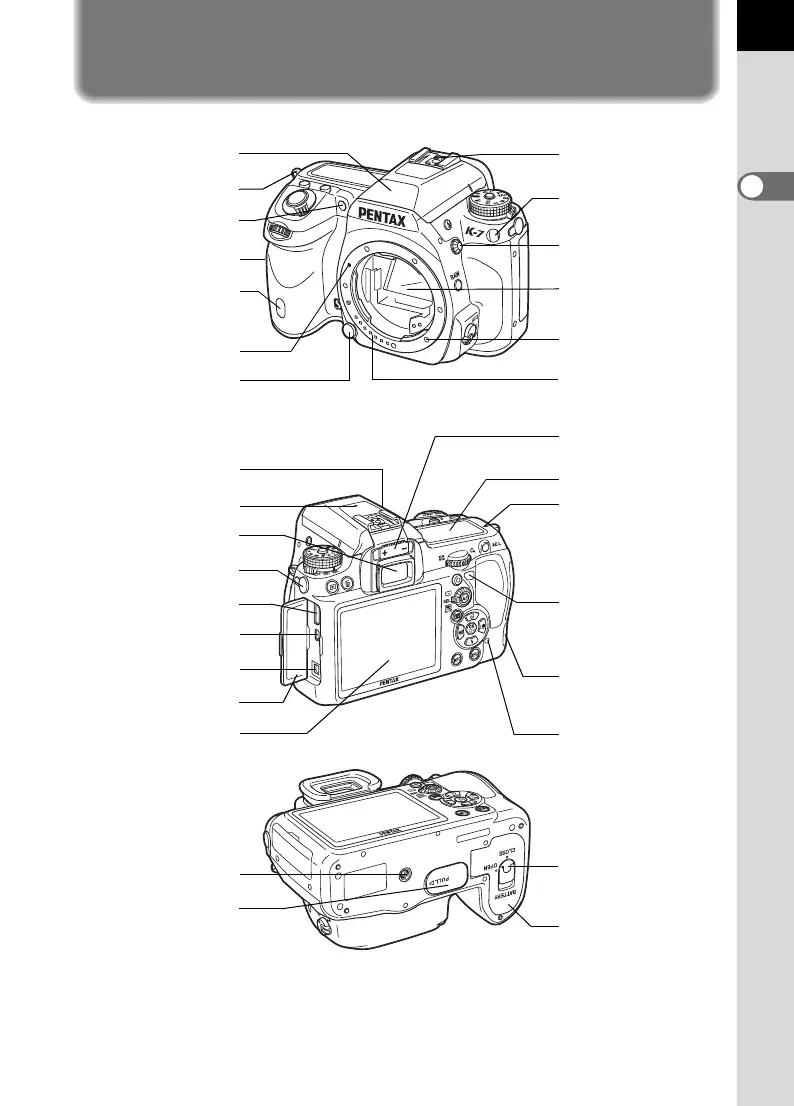 Page #19 background image