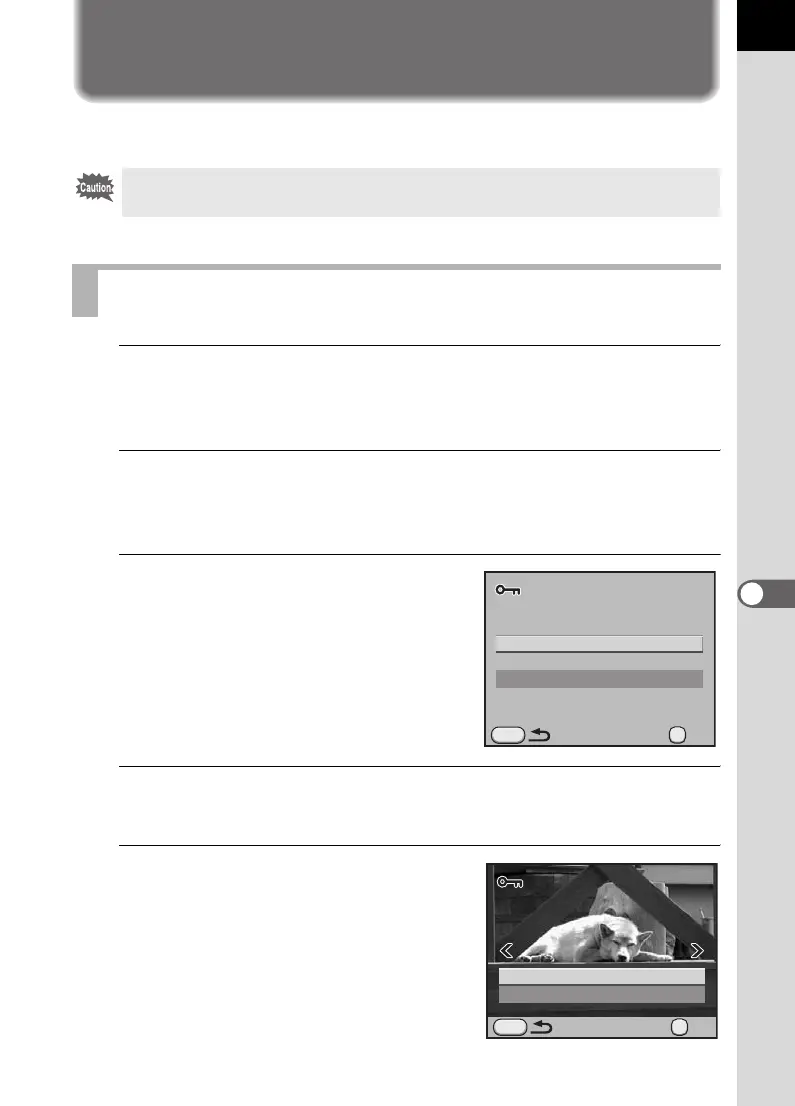 Page #257 background image
