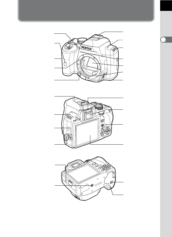 Page #21 background image