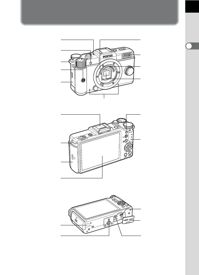 Page #19 background image
