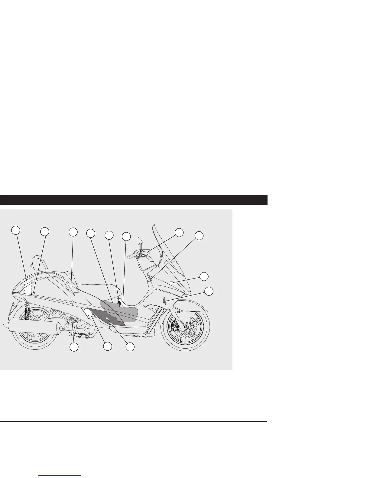 Page #13 background image