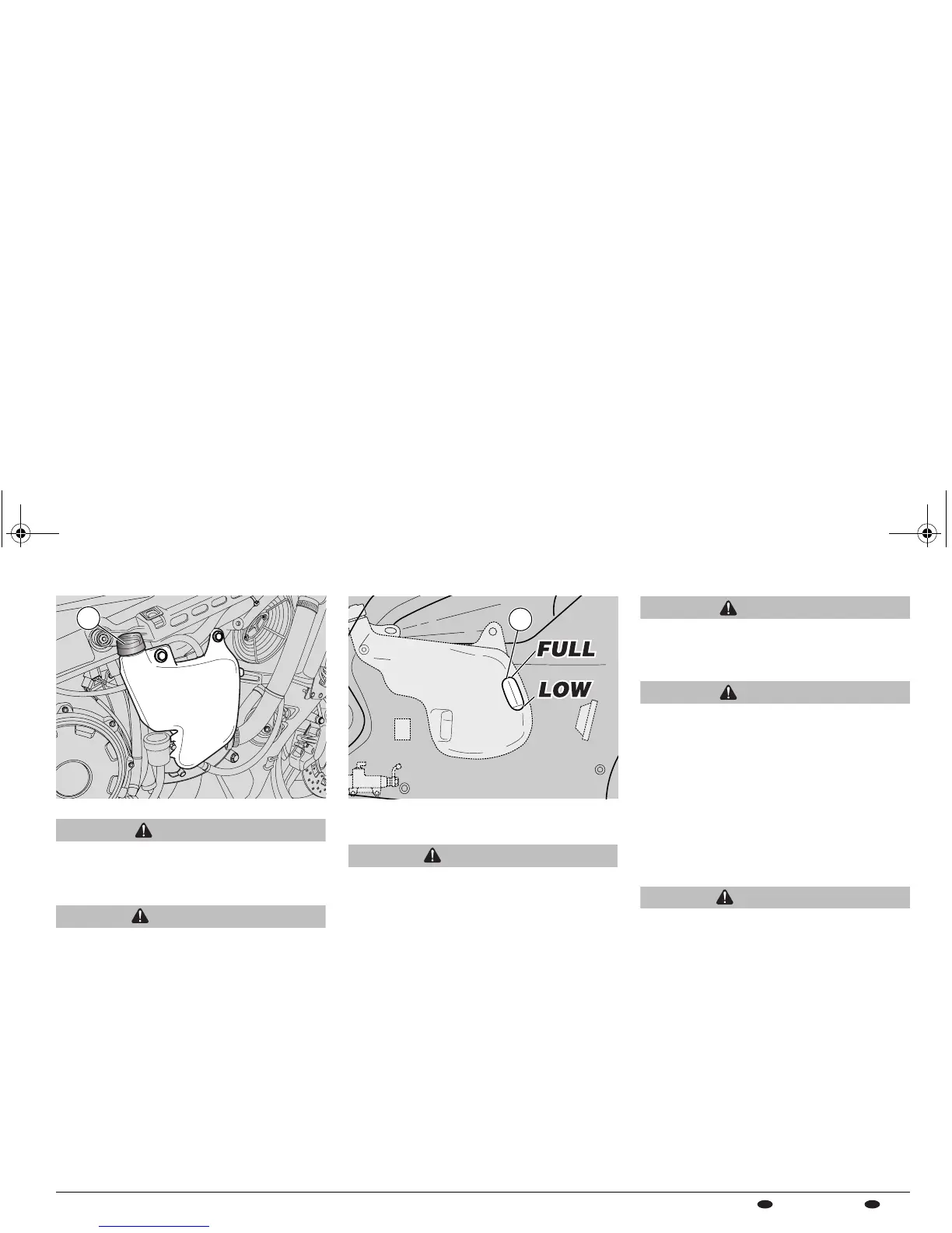 Page #61 background image