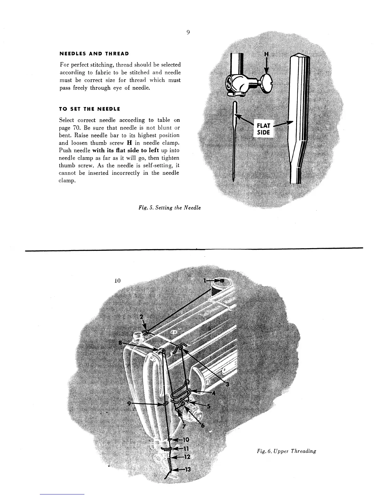 Page #5 background image