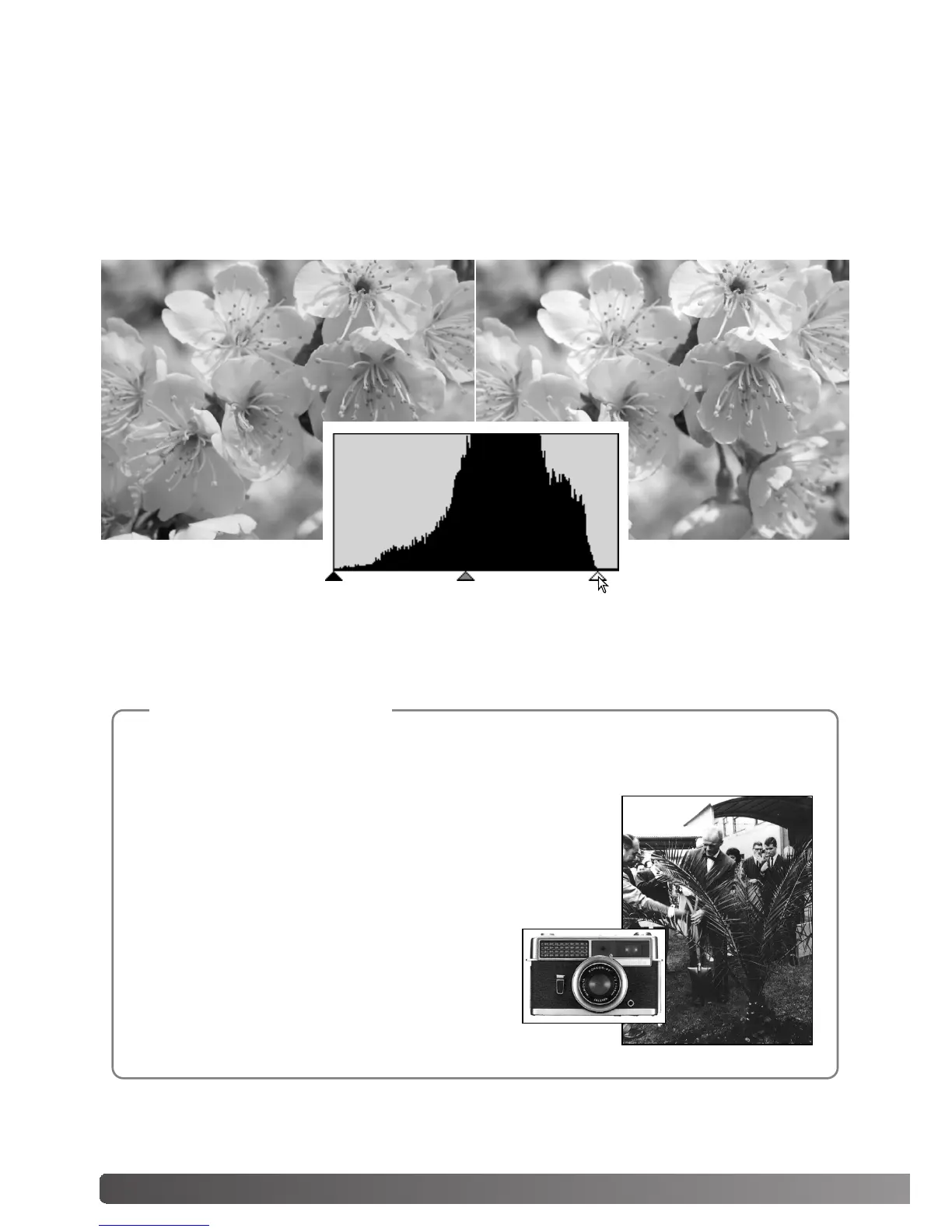 Page #66 background image