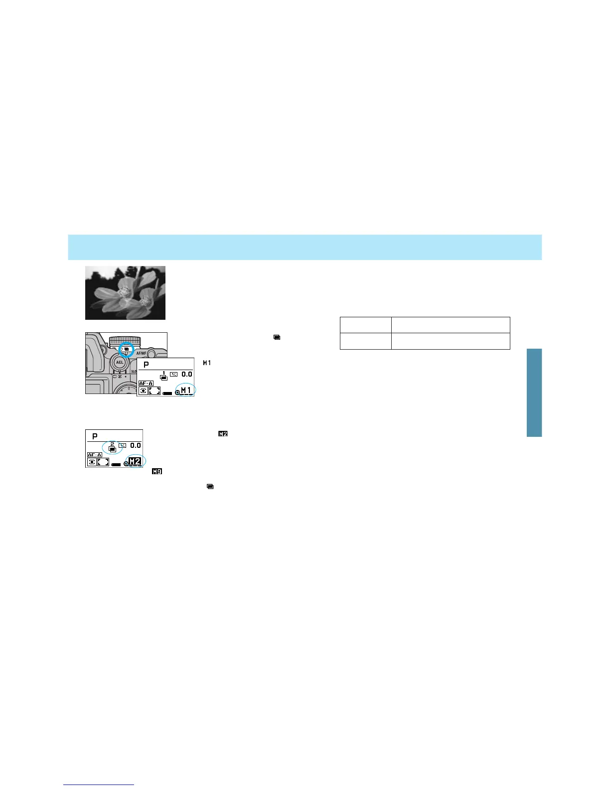 Page #49 background image