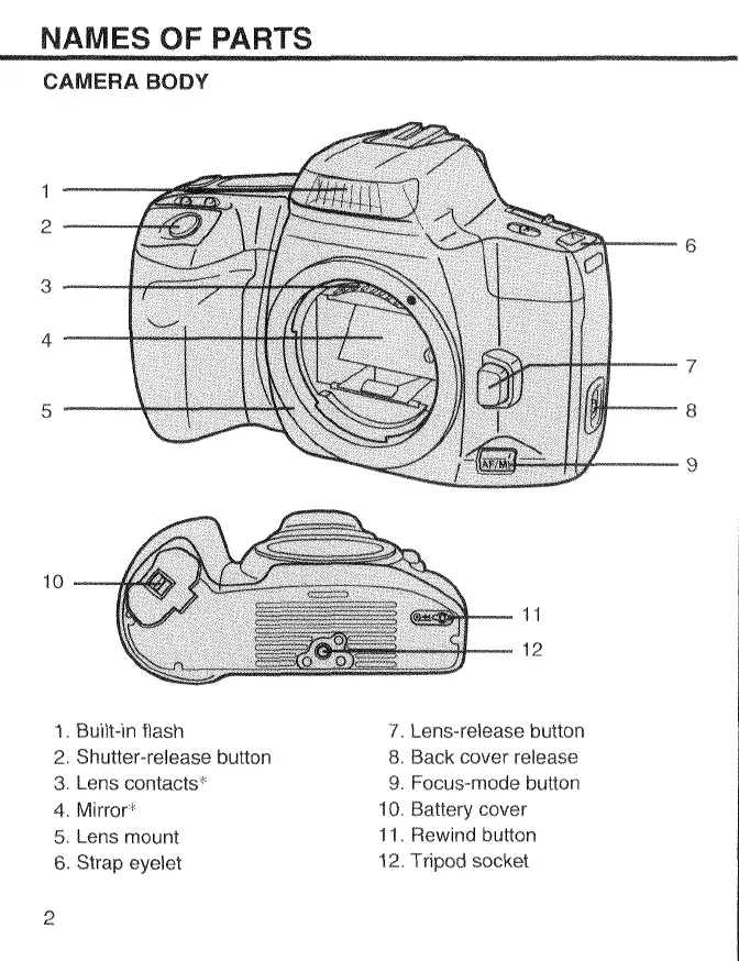 Page #4 background image