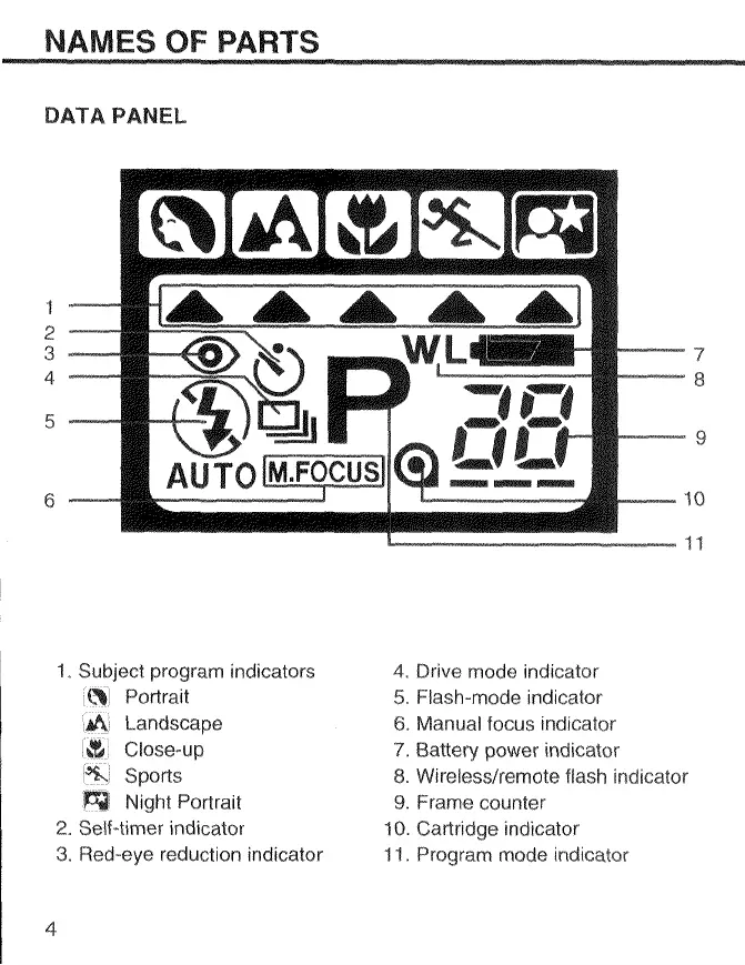 Page #6 background image