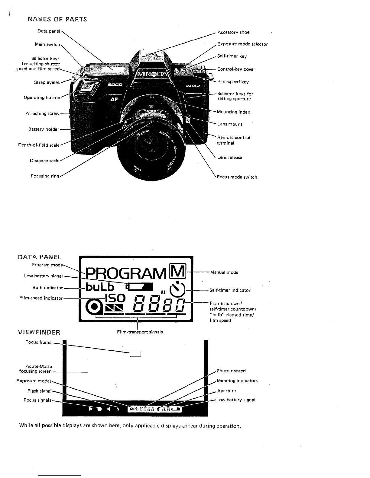 Page #2 background image