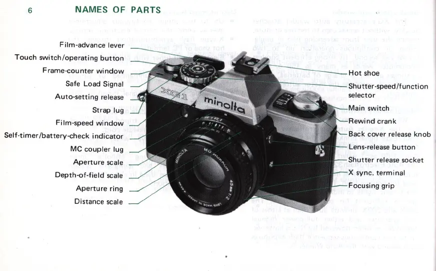 Page #8 background image