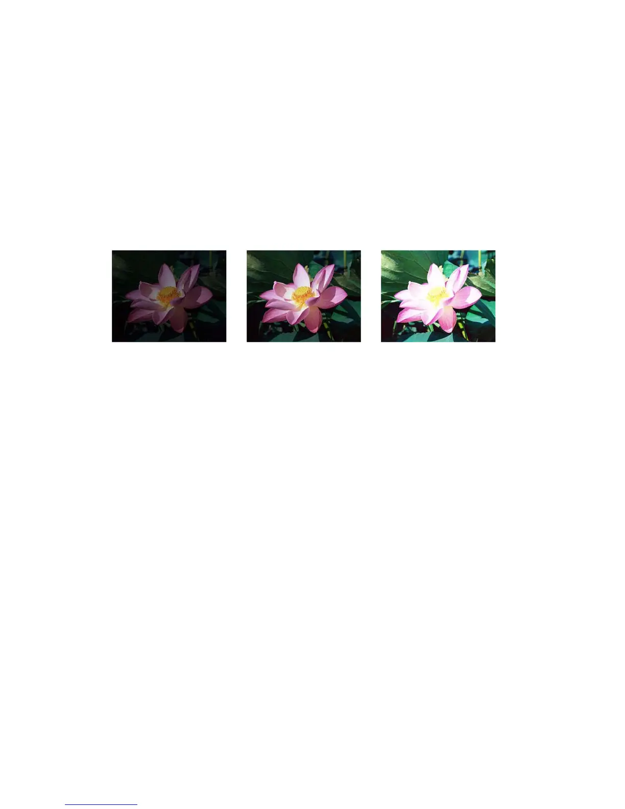 Page #169 background image