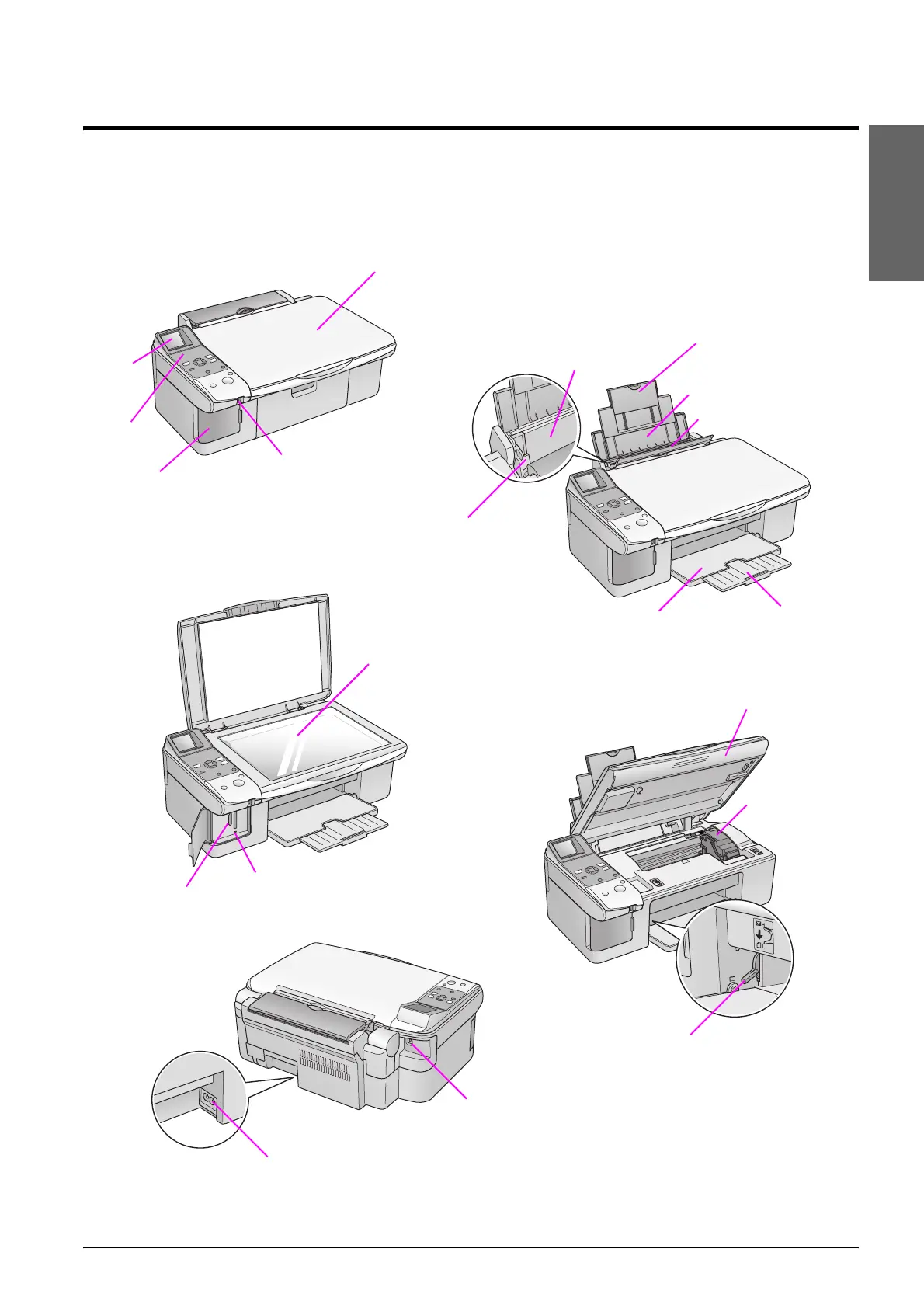 Page #5 background image