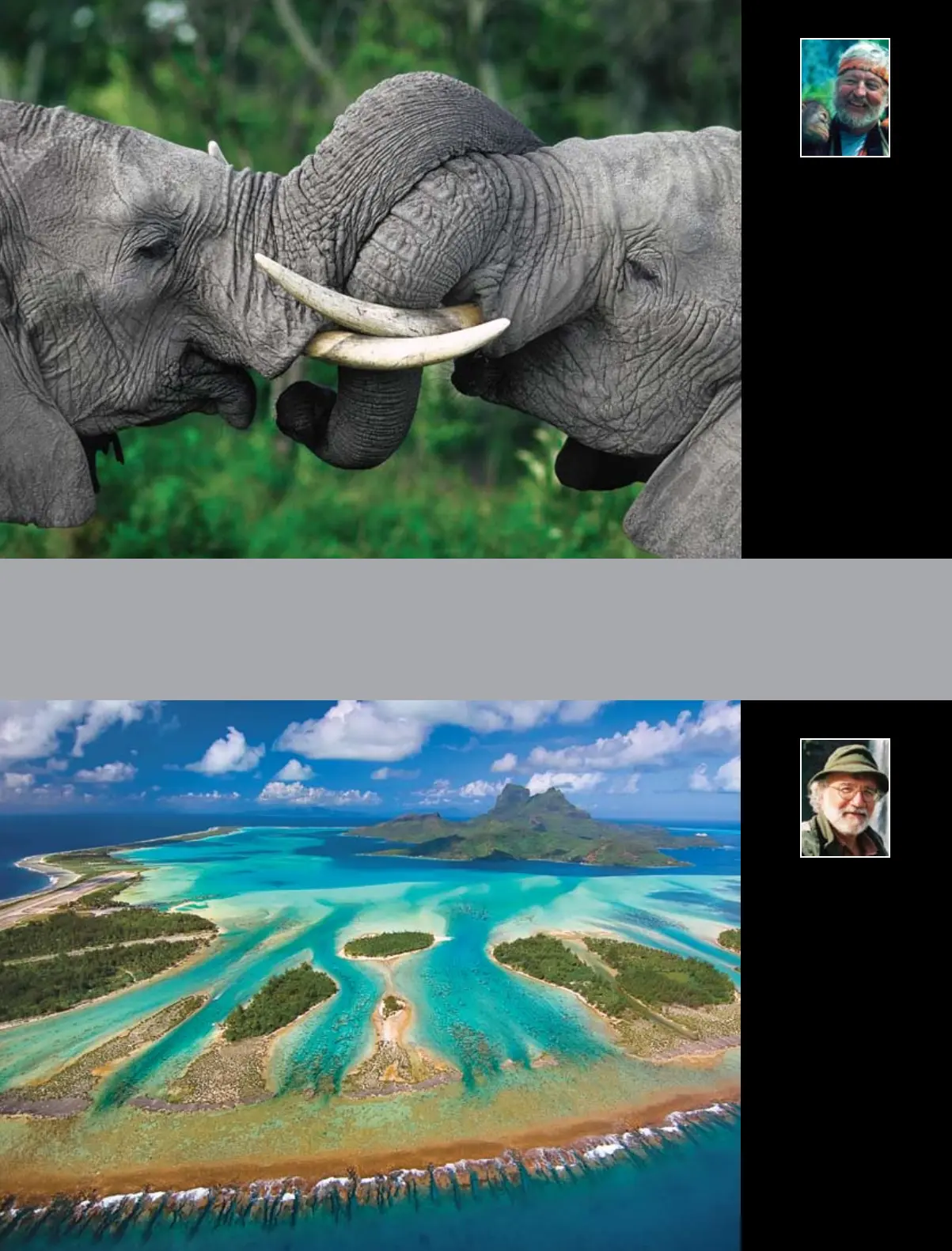 Page #3 background image