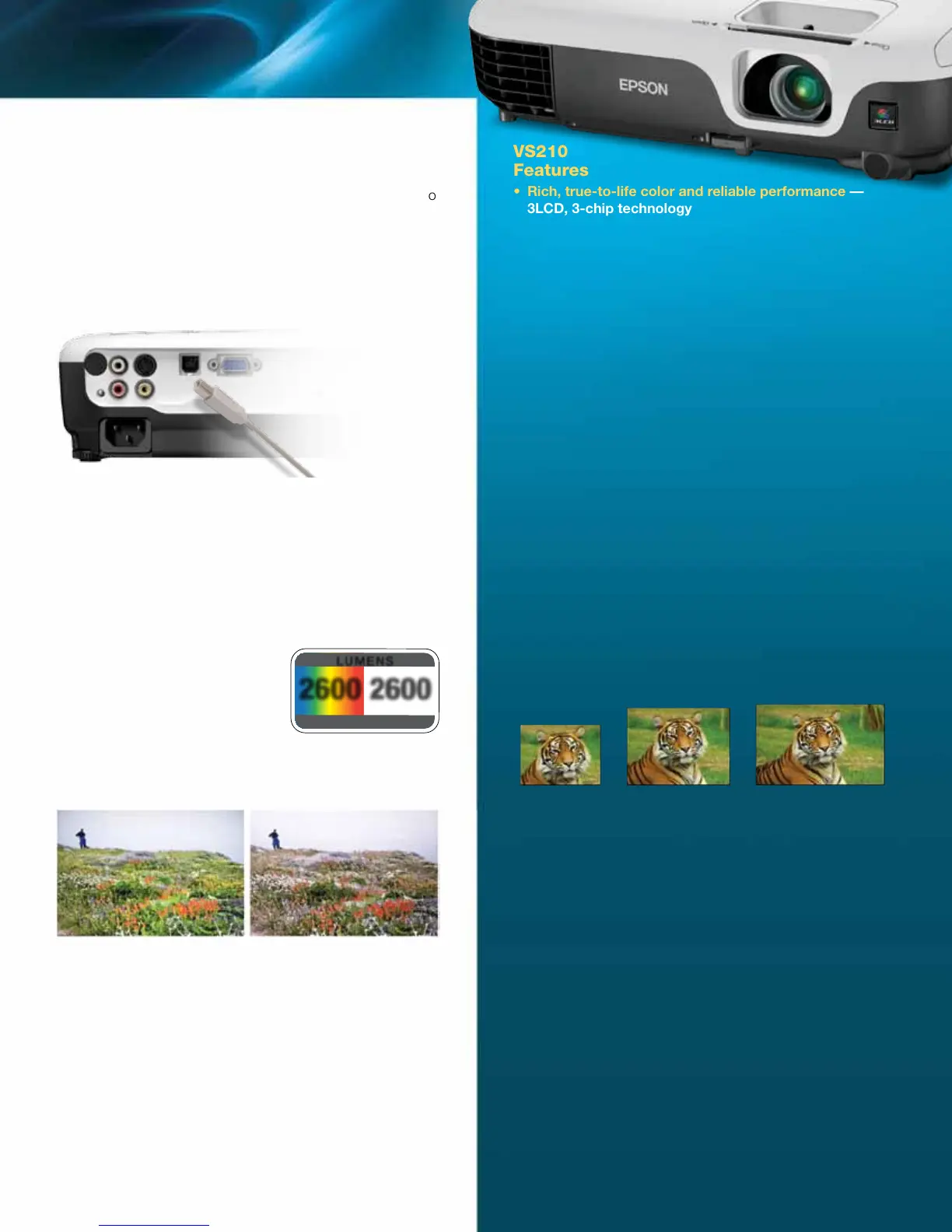 Page #3 background image