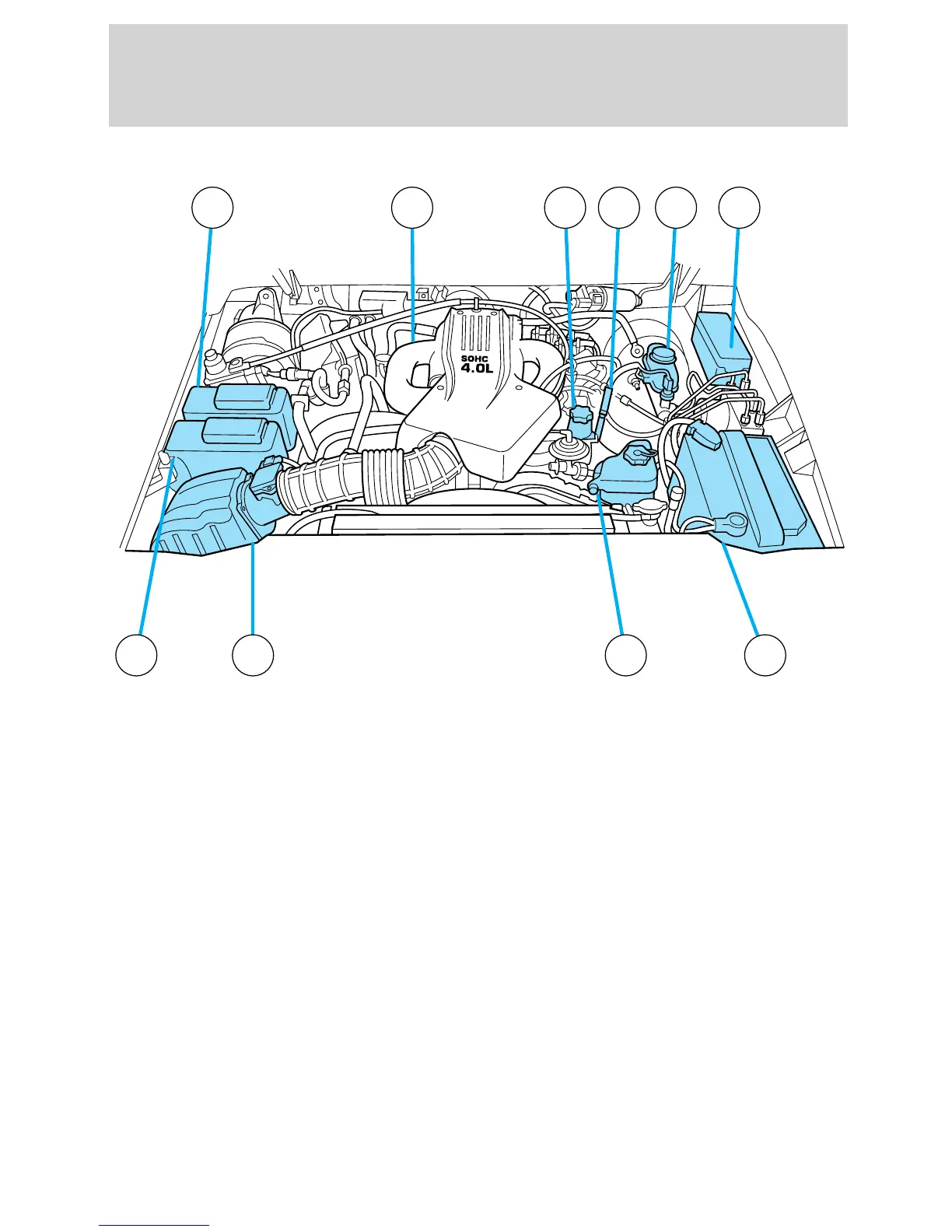 Page #216 background image