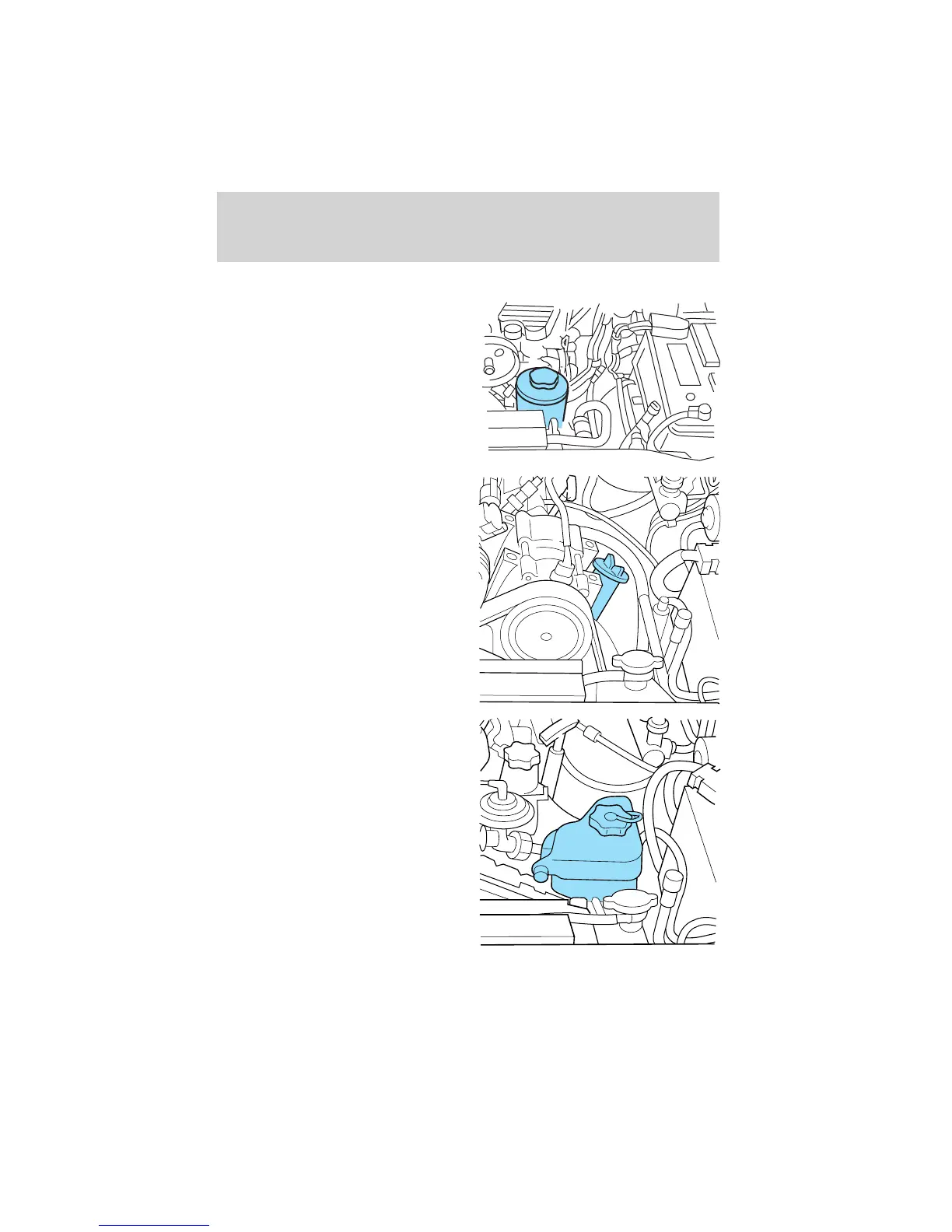 Page #219 background image