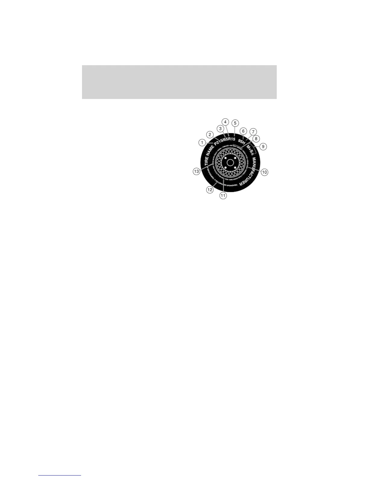 Page #181 background image