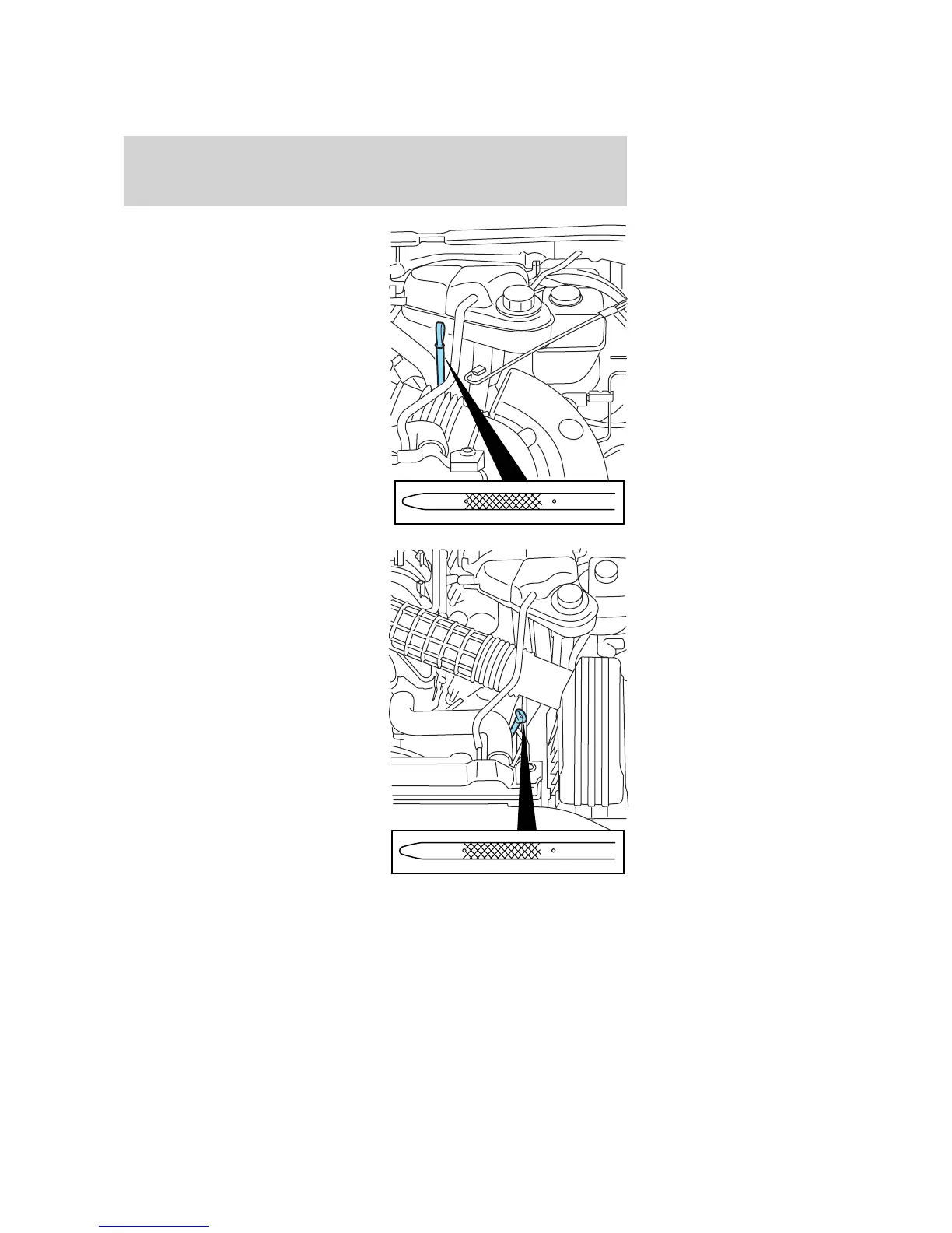 Page #255 background image