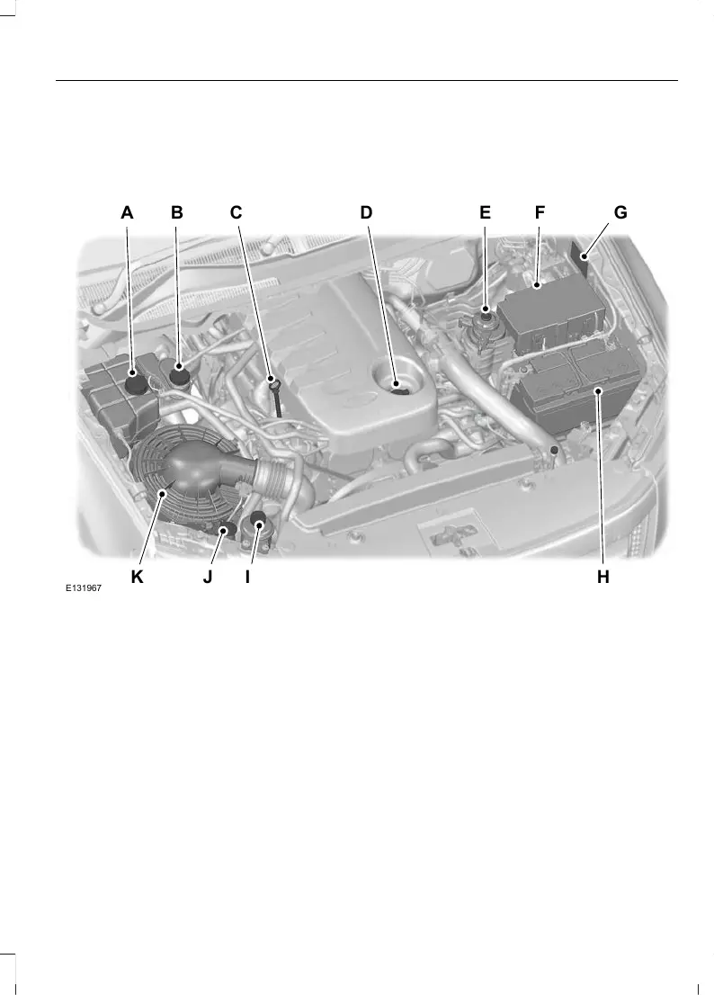 Page #235 background image