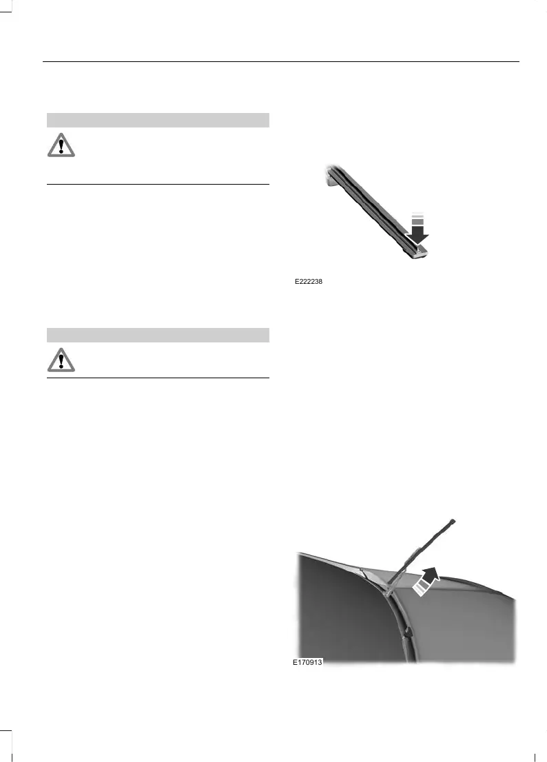 Page #241 background image