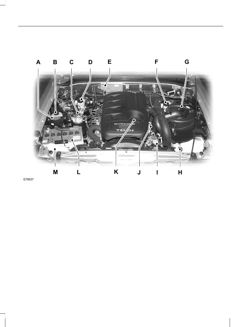 Page #97 background image