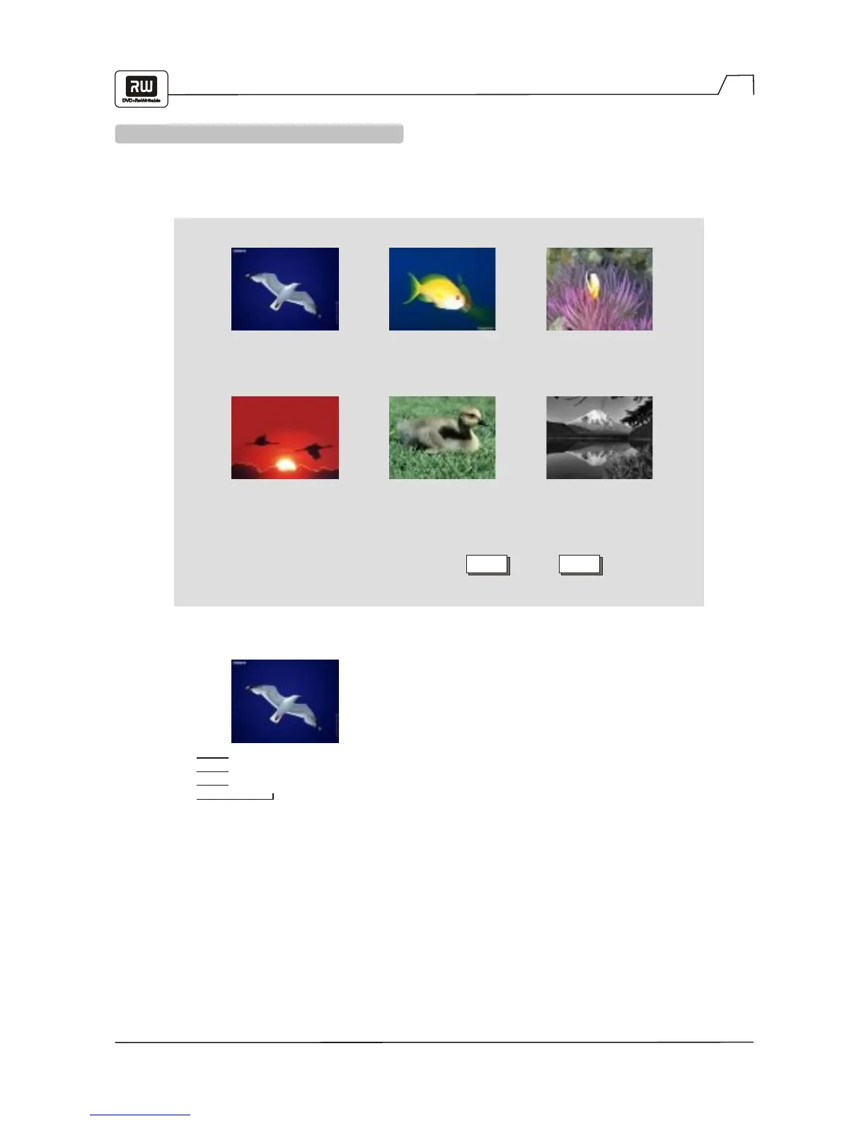 Page #16 background image