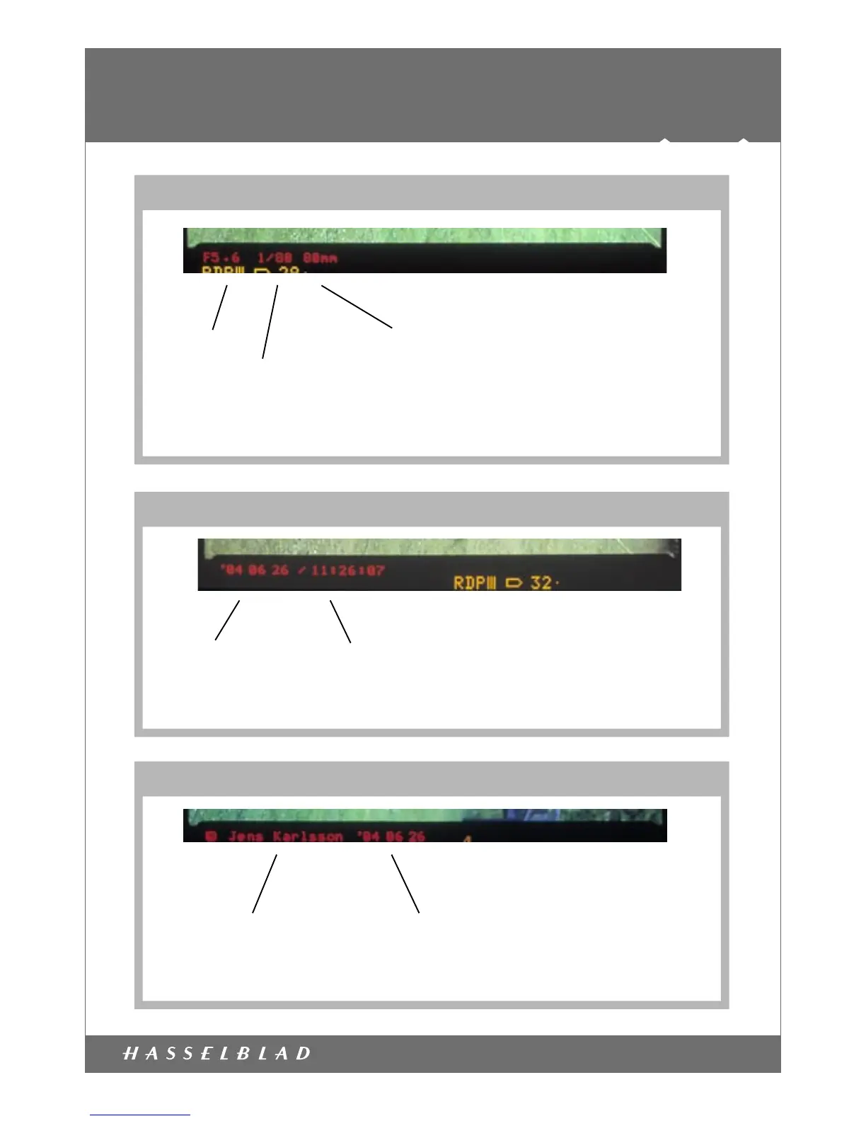Page #2 background image