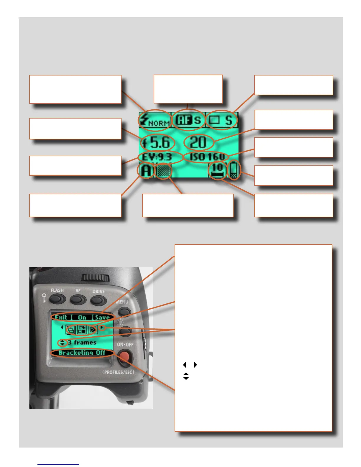 Page #15 background image