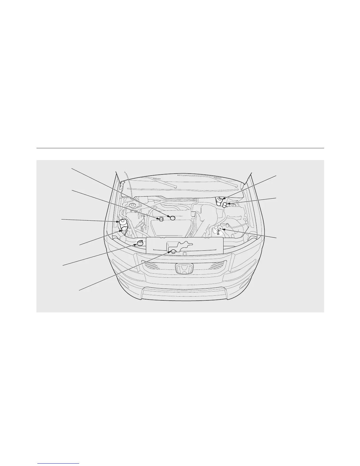 Page #256 background image