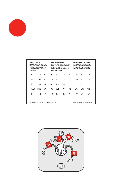 Page #5 background image