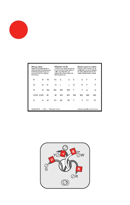 Page #5 background image